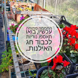 blog title